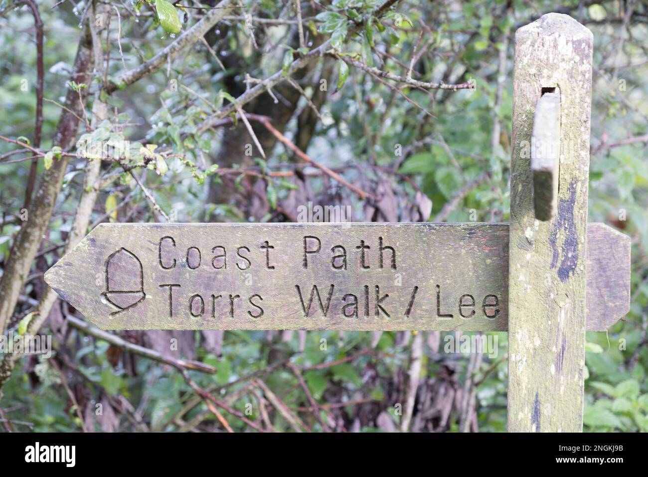 Torrs Walk signalisation pour le sentier côtier le long de la côte nord du Decon entre Ilfracombe et Lee, Devon, Royaume-Uni. Banque D'Images