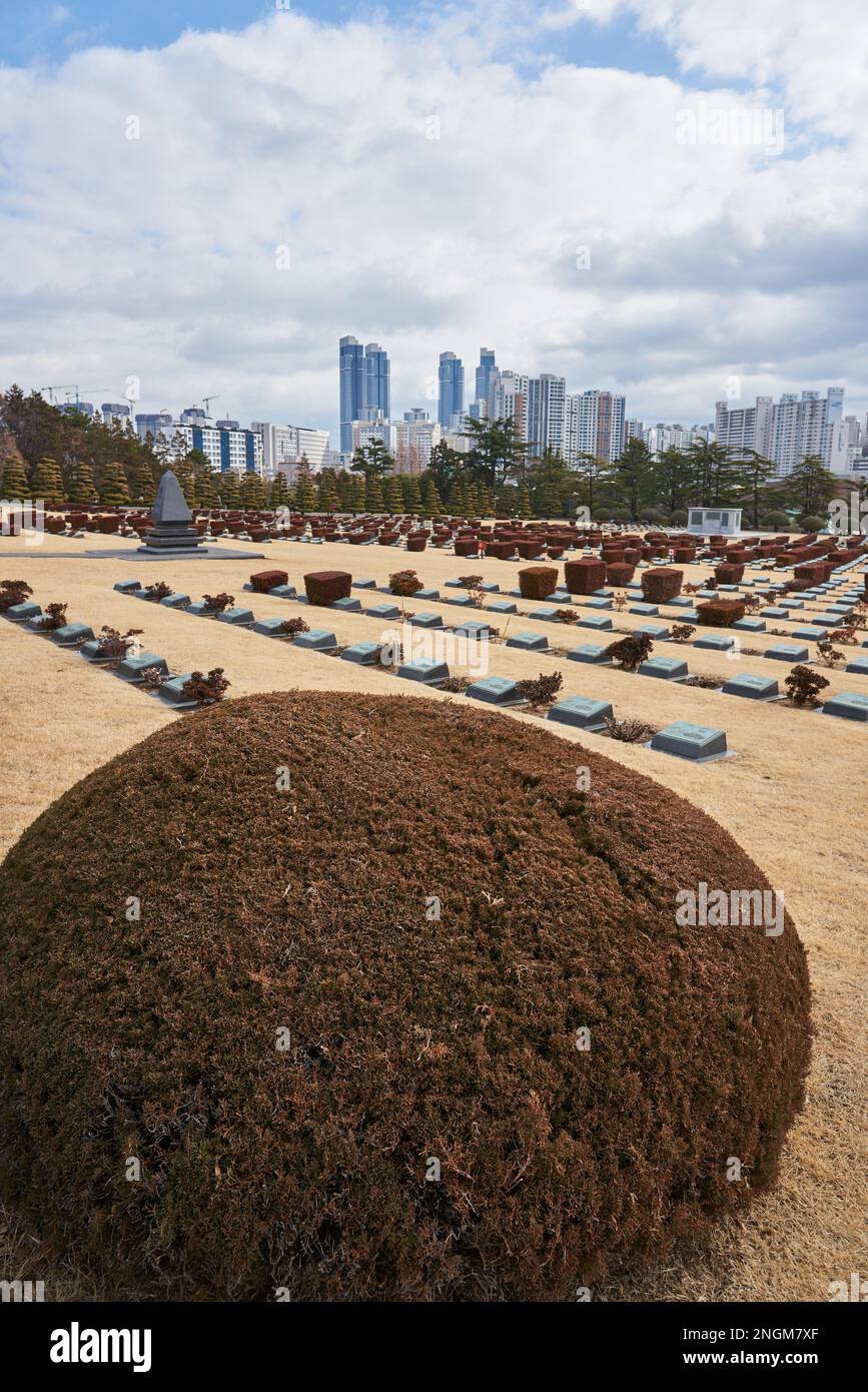 Cimetière commémoratif des Nations Unies à Busan en Corée du Sud le 16 février 2023 Banque D'Images