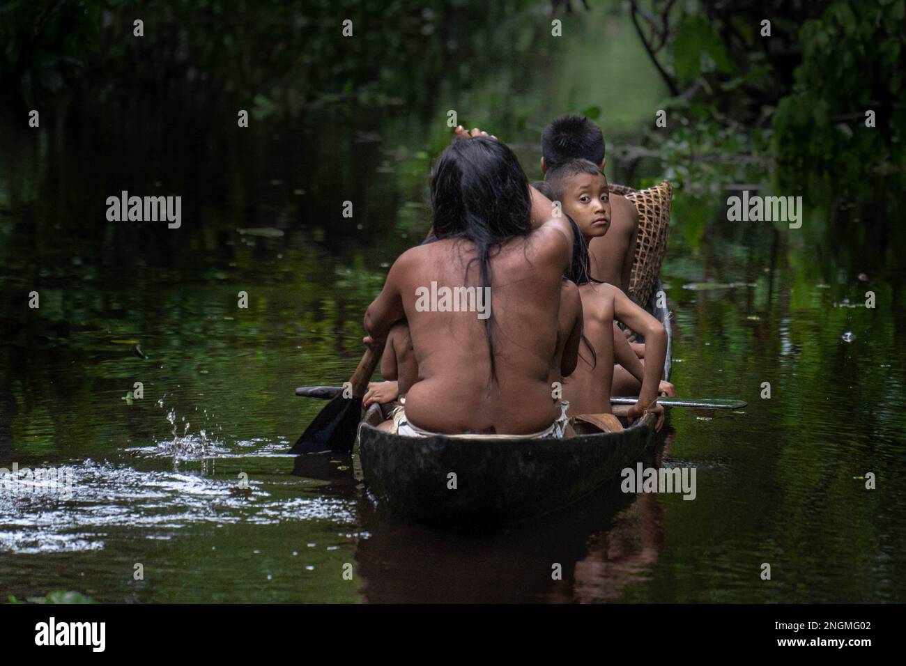 Famille de la tribu indigène Oronoco Warao nageant dans le canoë traditionnel en bois parmi les mangroves avec un garçon curiouse regardant le chamer Banque D'Images