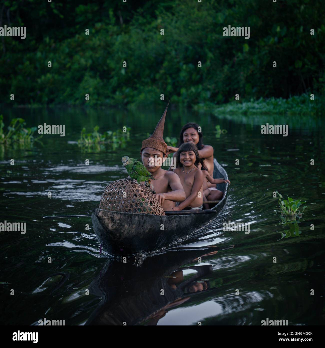 Famille de la tribu indigène Oronoco Warao nageant dans le canoë traditionnel en bois parmi les mangroves Banque D'Images