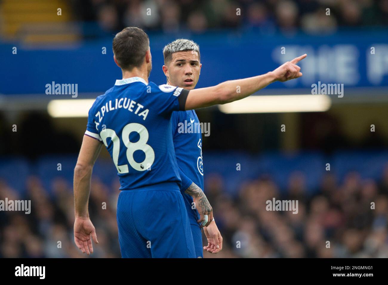 Londres, Royaume-Uni. 18th févr. 2023. Enzo Fernandez, de Chelsea, lors du match de la Premier League entre Chelsea et Southampton au Stamford Bridge, Londres, Angleterre, le 18 février 2023. Photo de Salvio Calabre. Utilisation éditoriale uniquement, licence requise pour une utilisation commerciale. Aucune utilisation dans les Paris, les jeux ou les publications d'un seul club/ligue/joueur. Crédit : UK Sports pics Ltd/Alay Live News Banque D'Images