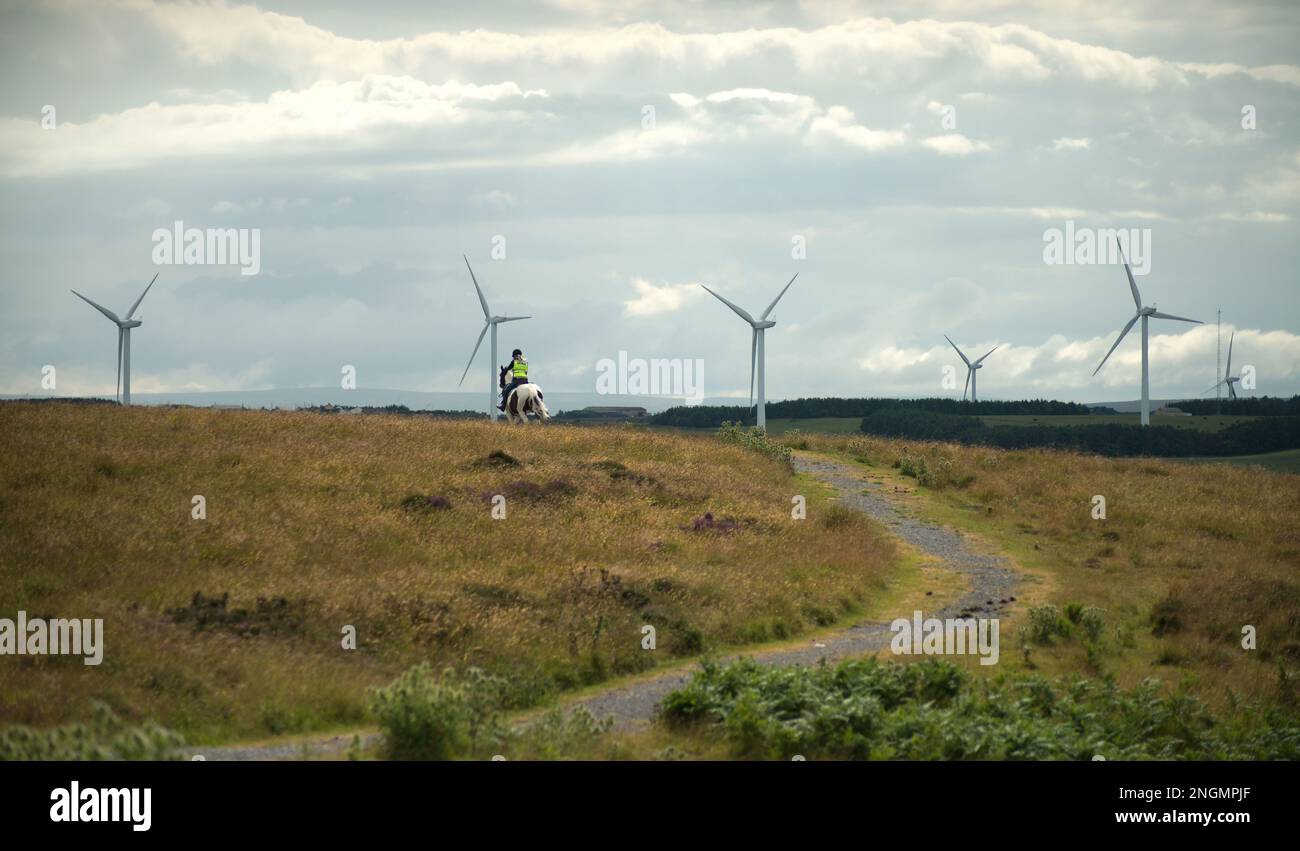 Image paysage de cheval pilote à travers la lande avec six éoliennes au loin au début de l'été Banque D'Images