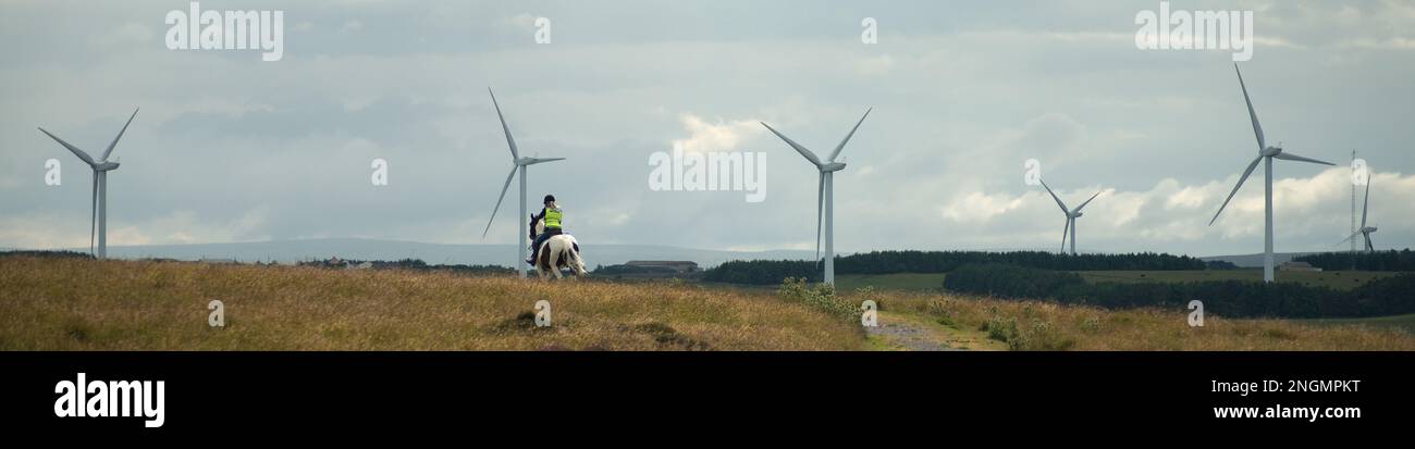 Image de paysage avec cavalier sur un terrain accidenté avec six éoliennes au loin au début de l'été Banque D'Images