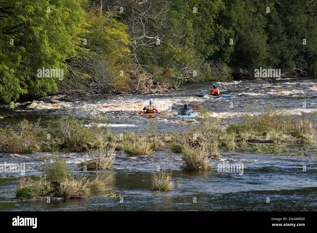 Trois kayakistes se dirigent vers le bas à travers une parcelle d'eau plus rugueuse Banque D'Images