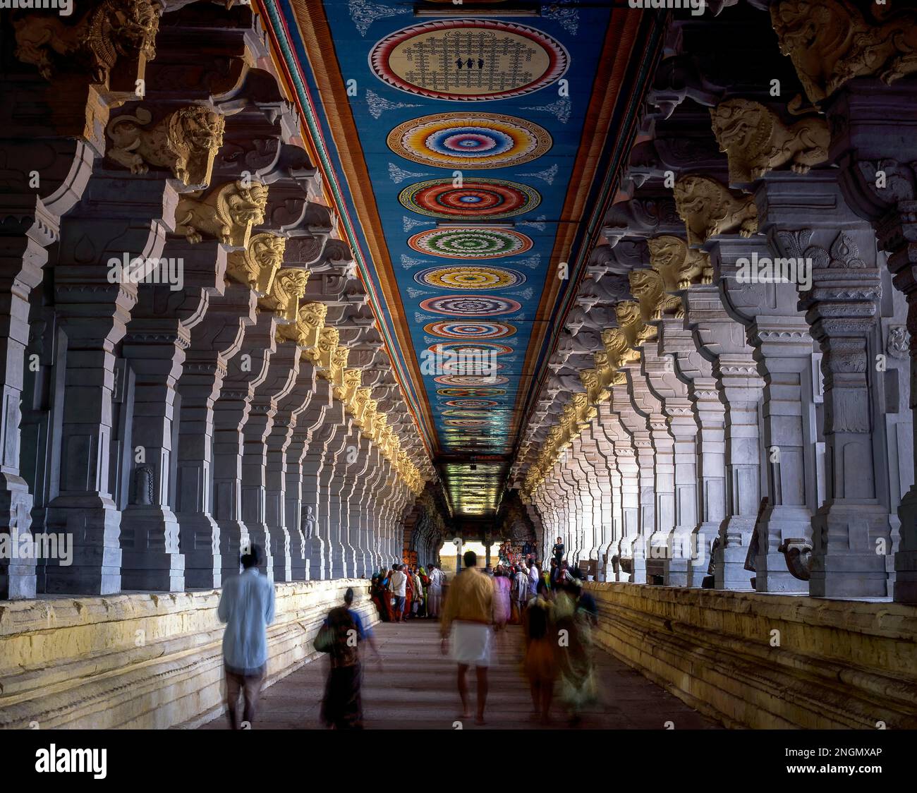 Couloir du temple de Ramanathaswamy à Rameswaram, Rameshwaram, Tamil Nadu, Inde. L'ensemble de couloirs extérieurs est réputé être le plus long du monde Banque D'Images