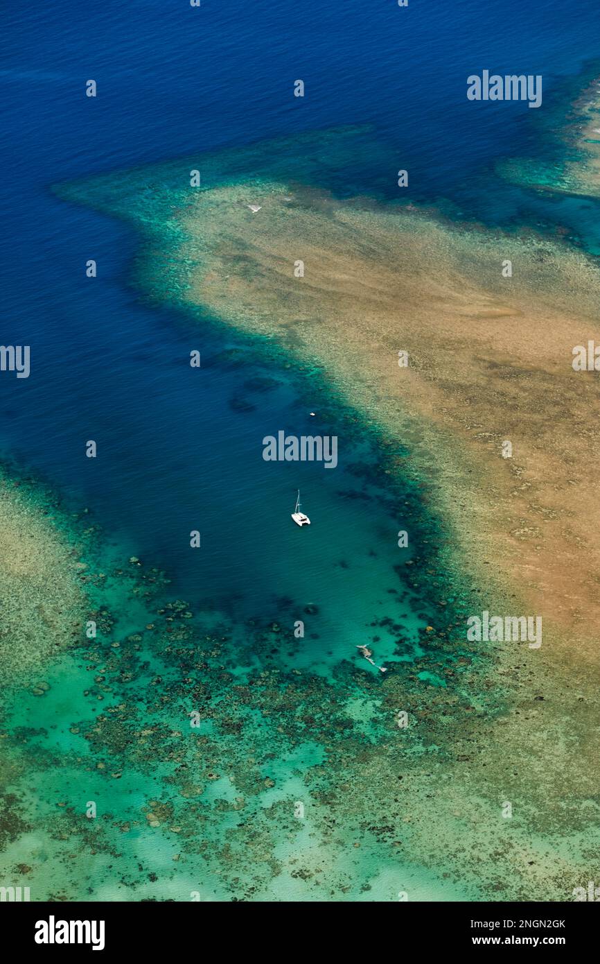 Grande Barrière de Corail. Whitsundays. Queensland Australie Banque D'Images