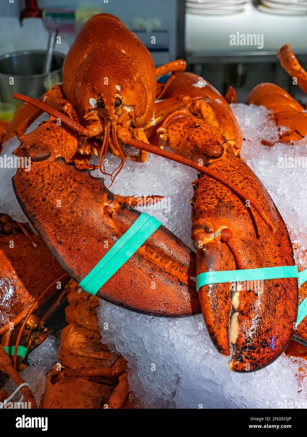New York. Manhattan. The Lobster place au marché Chelsea Banque D'Images