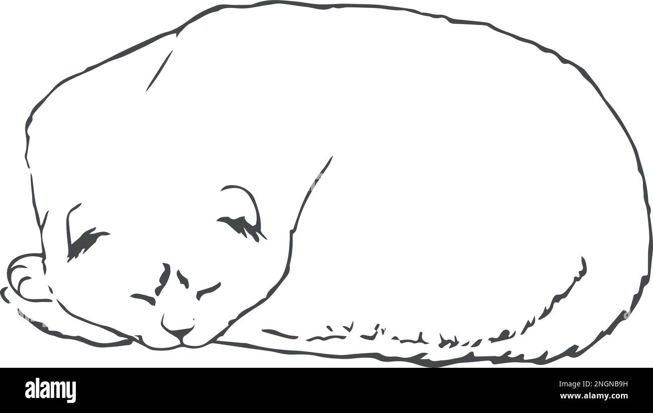 Joli dessin de chat endormi. Simple dessin à la main Art. PET Contour de chat isolé sur blanc Illustration de Vecteur