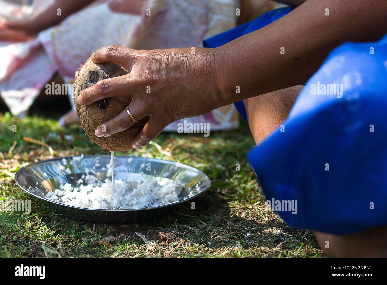 Une femme fidjienne laitait des noix de coco cultivées dans son jardin Banque D'Images