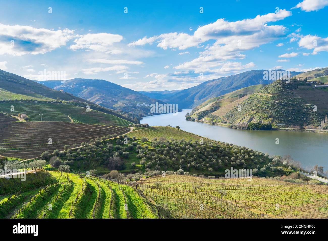 Vallée viticole du Douro avec vignobles, Portugal, site classé au patrimoine mondial de l'UNESCO Banque D'Images Vallée viticole du Douro avec vignobles, Portugal, site classé au patrimoine mondial de l'UNESCO Banque D'Images