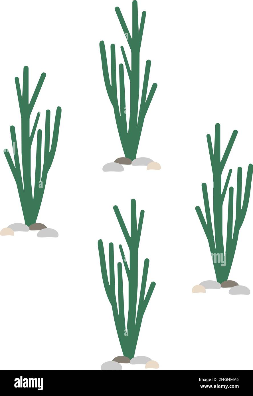 Motif vectoriel sans couture avec cactus plats. Texture avec des cactus verts hauts. Arrière-plan naturel à dessin à la main avec plantes désertiques. Illustration de Vecteur