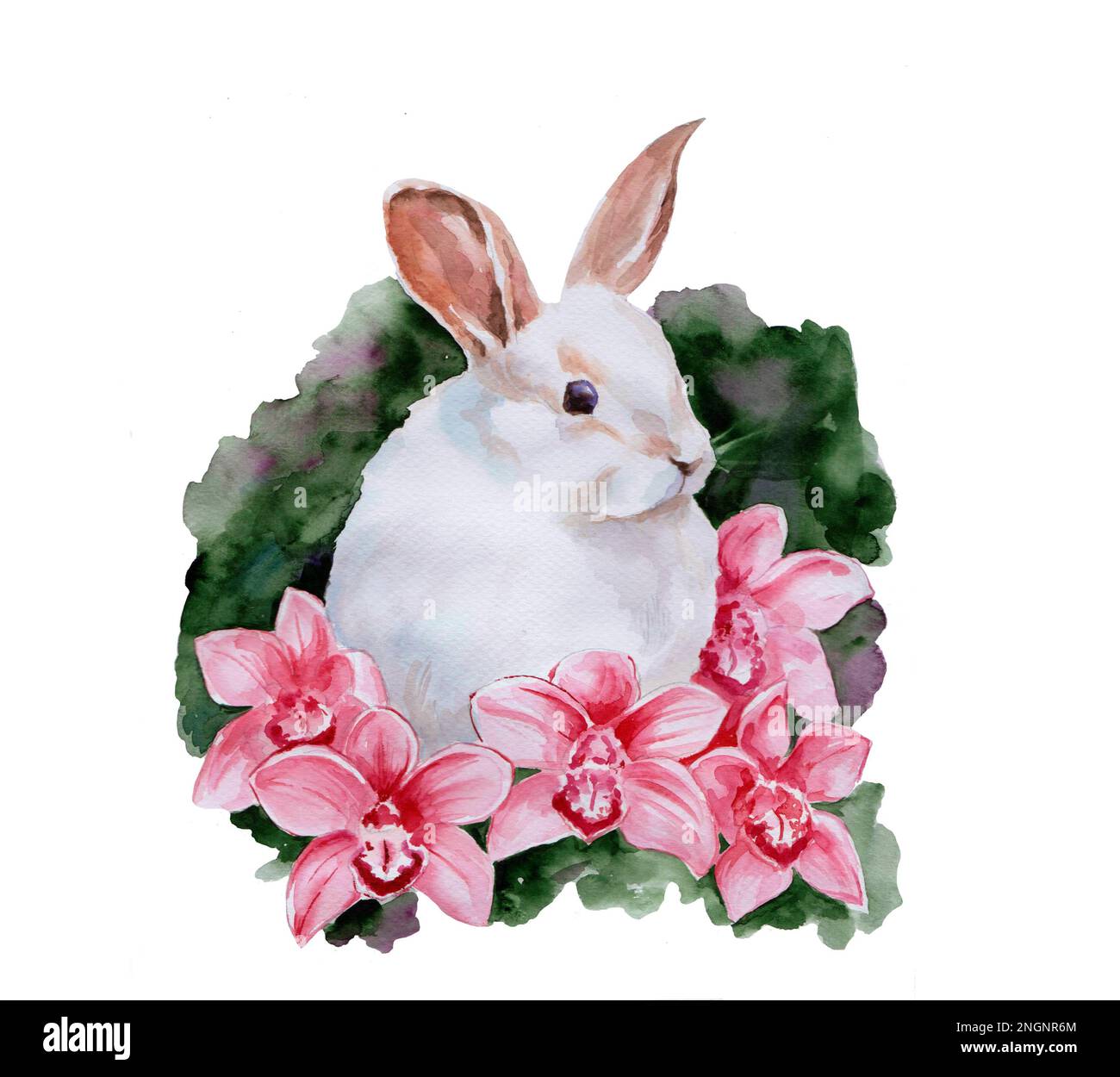 Dessin aquarelle d'un lapin blanc avec des fleurs d'orchidées Banque D'Images