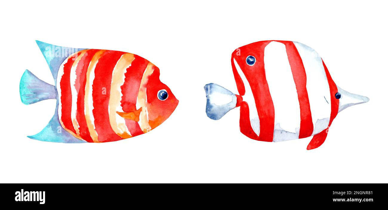 Ensemble d'illustrations aquarelles de poissons sur fond blanc. Poissons d'aquarium, monde sous-marin exotique. Poissons de récif de corail. Poissons d'aquarium. Banque D'Images