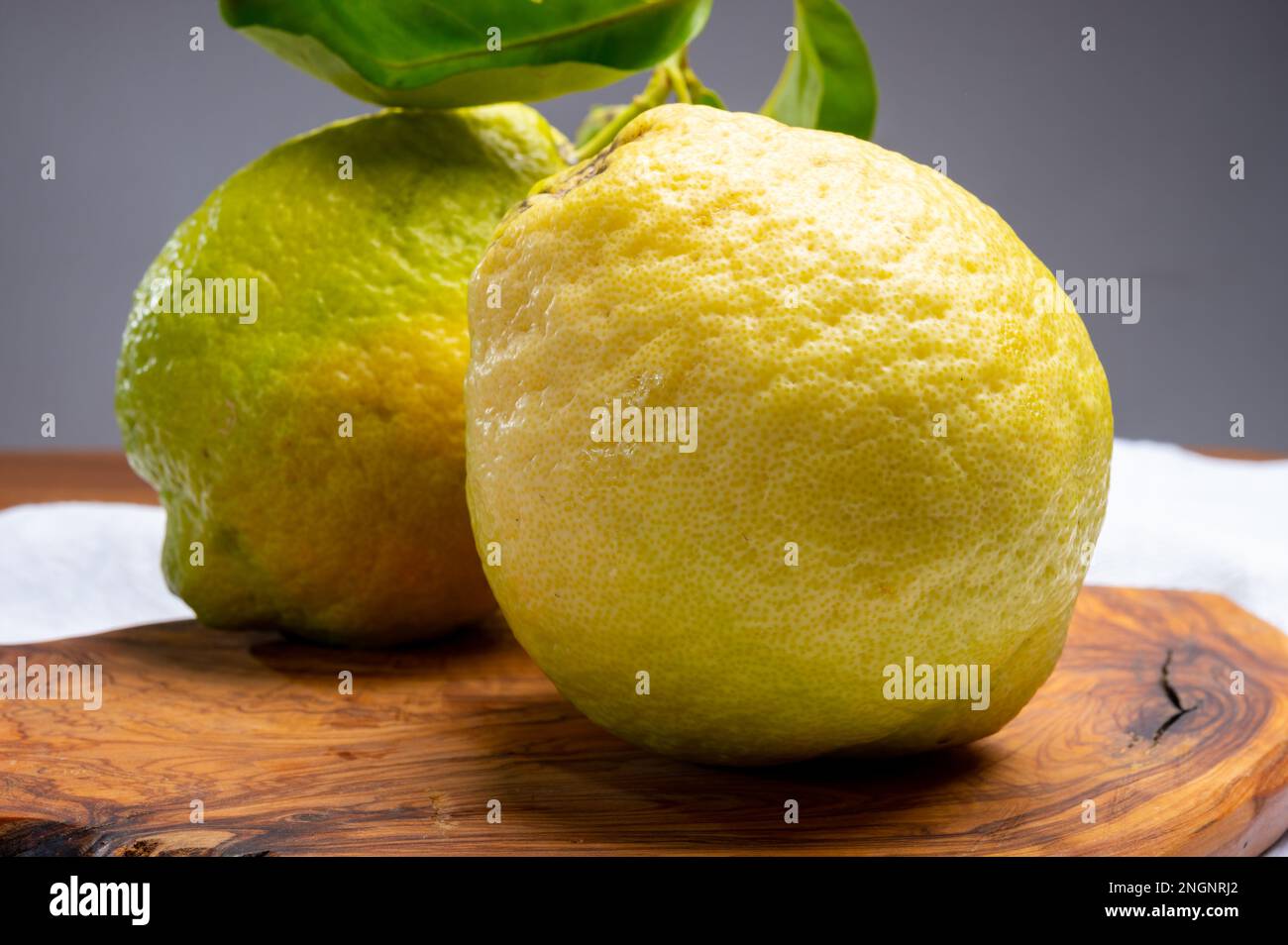 Cédrate de citron-citron ou Citrus medica, grands agrumes parfumés avec de la croûte épaisse utilisés pour faire de la limonchello italienne Banque D'Images