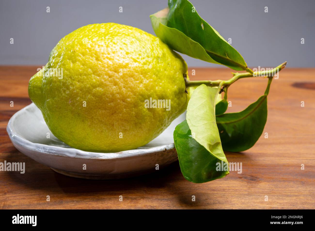 Cédrate de citron-citron ou Citrus medica, grands agrumes parfumés avec de la croûte épaisse utilisés pour faire de la limonchello italienne Banque D'Images