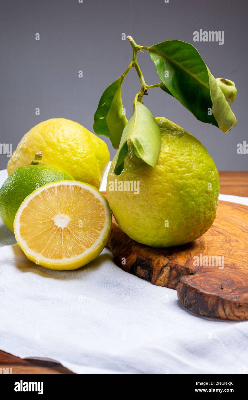 Variété d'agrumes, bergamote mûre et cédrate de citron-citron ou Citrus medica, grands agrumes parfumés à la croûte épaisse Banque D'Images