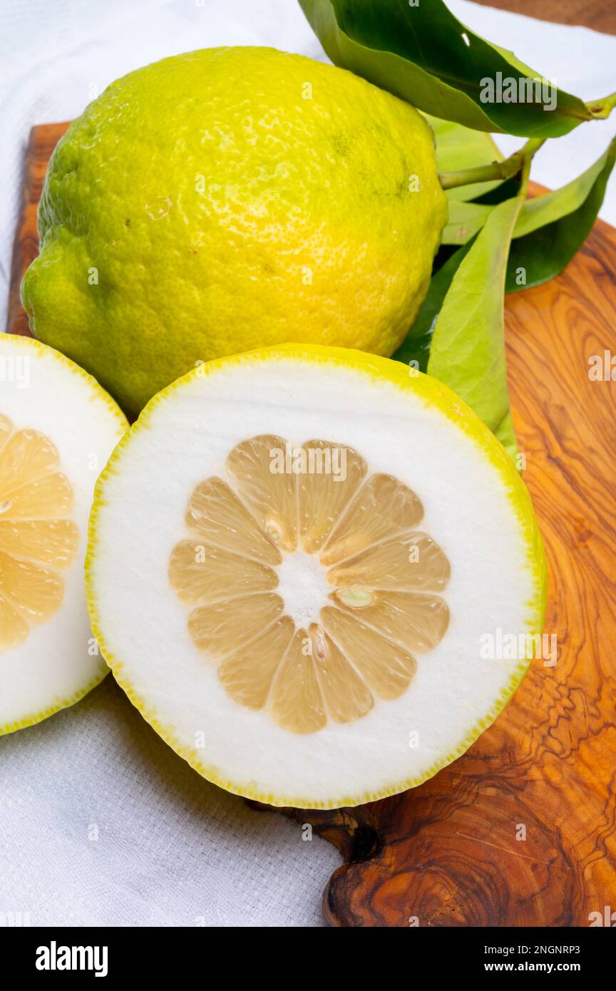 Cédrate de citron-citron ou Citrus medica, grands agrumes parfumés avec de la croûte épaisse utilisés pour faire de la limonchello italienne Banque D'Images