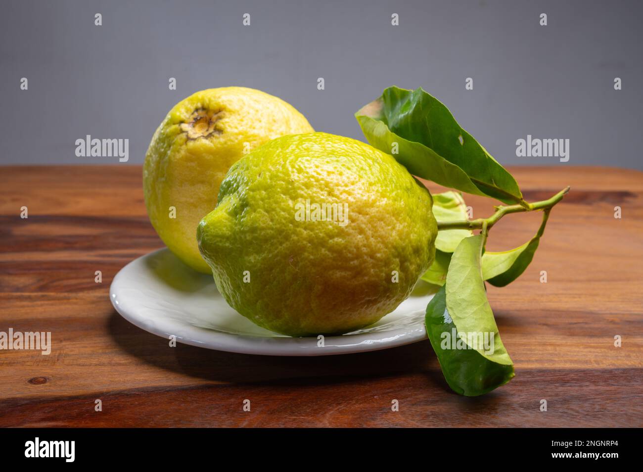 Cédrate de citron-citron ou Citrus medica, grands agrumes parfumés avec de la croûte épaisse utilisés pour faire de la limonchello italienne Banque D'Images