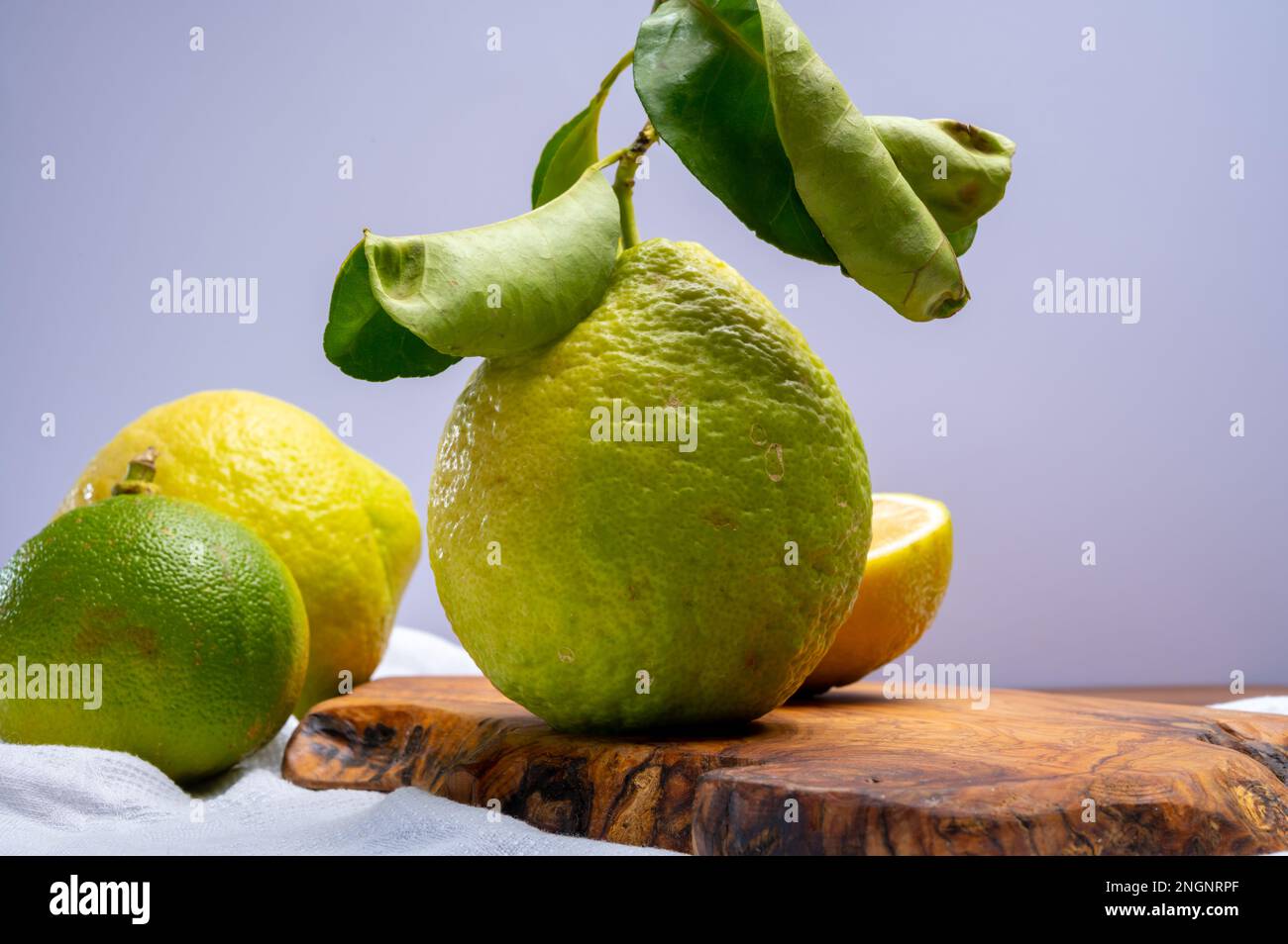 Variété d'agrumes, bergamote mûre et cédrate de citron-citron ou Citrus medica, grands agrumes parfumés à la croûte épaisse Banque D'Images