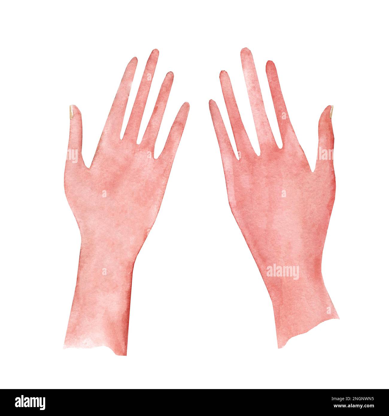 Dessin aquarelle de couleur des mains femelles. illustration dessinée à la main Banque D'Images