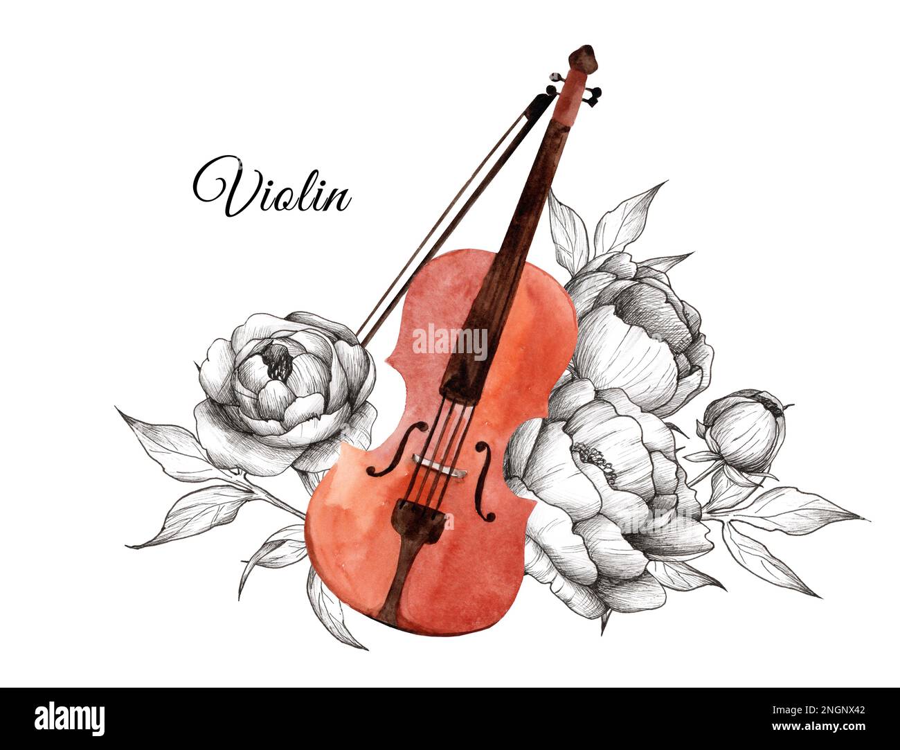 Violon aquarelle avec fleurs de pivoine graphiques. instruments de musique classique Banque D'Images