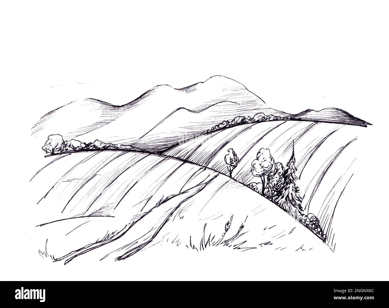 Paysage rural avec une ferme. Illustration en noir et blanc dessinée à la main, en style gravure. Banque D'Images Paysage rural avec une ferme. Illustration en noir et blanc dessinée à la main, en style gravure. Banque D'Images