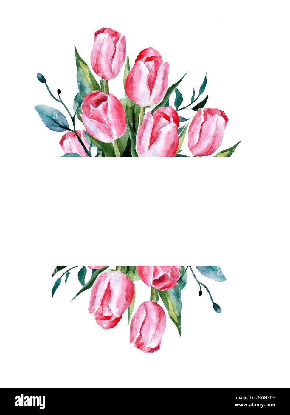 Cadre de décoration avec tulipes roses. Illustration aquarelle. Espace libre pour le texte Banque D'Images