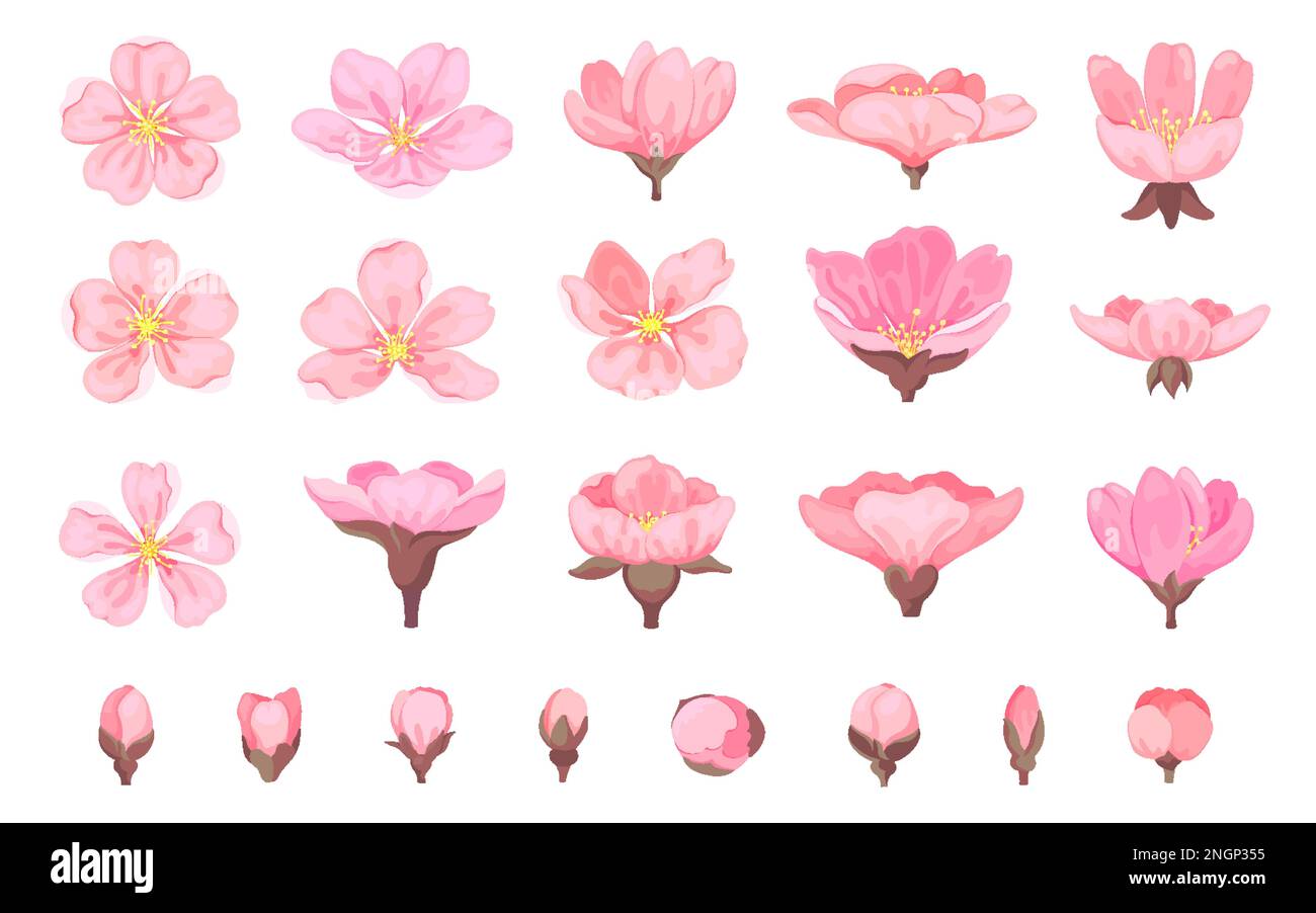 Cerisier fleur sakura bud floral ensemble plat. Element printemps saison japonaise plante chinoise mariage amour été décoration sticker tropical mode floring jardin de nombreuses formes pétale bouton isolé Illustration de Vecteur