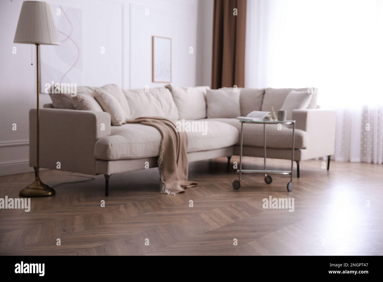Salon moderne avec parquet et mobilier élégant Banque D'Images