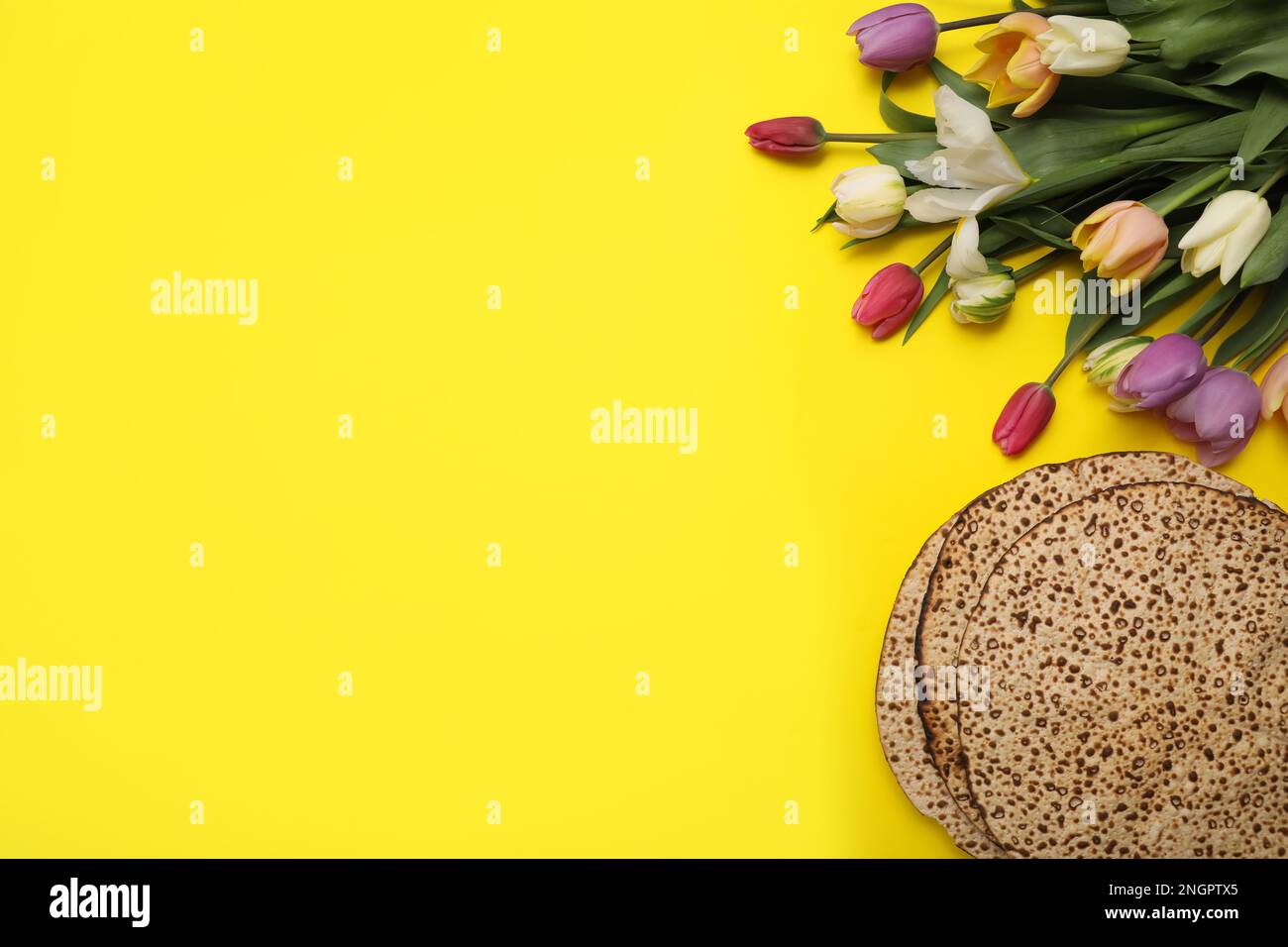 Savoureux matzos et fleurs fraîches sur fond jaune, plat avec espace pour le texte. Fête de la Pâque (Pesach) Banque D'Images