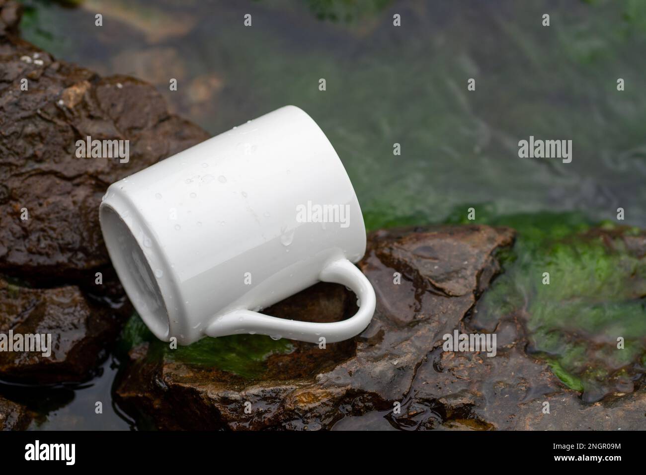 Tasse blanche, maquette, espace vide pour les œuvres d'art, texte, debout sur pierre, extérieur, herbe verte, arbres, ciel en arrière-plan, lumière douce du soleil, nature Banque D'Images