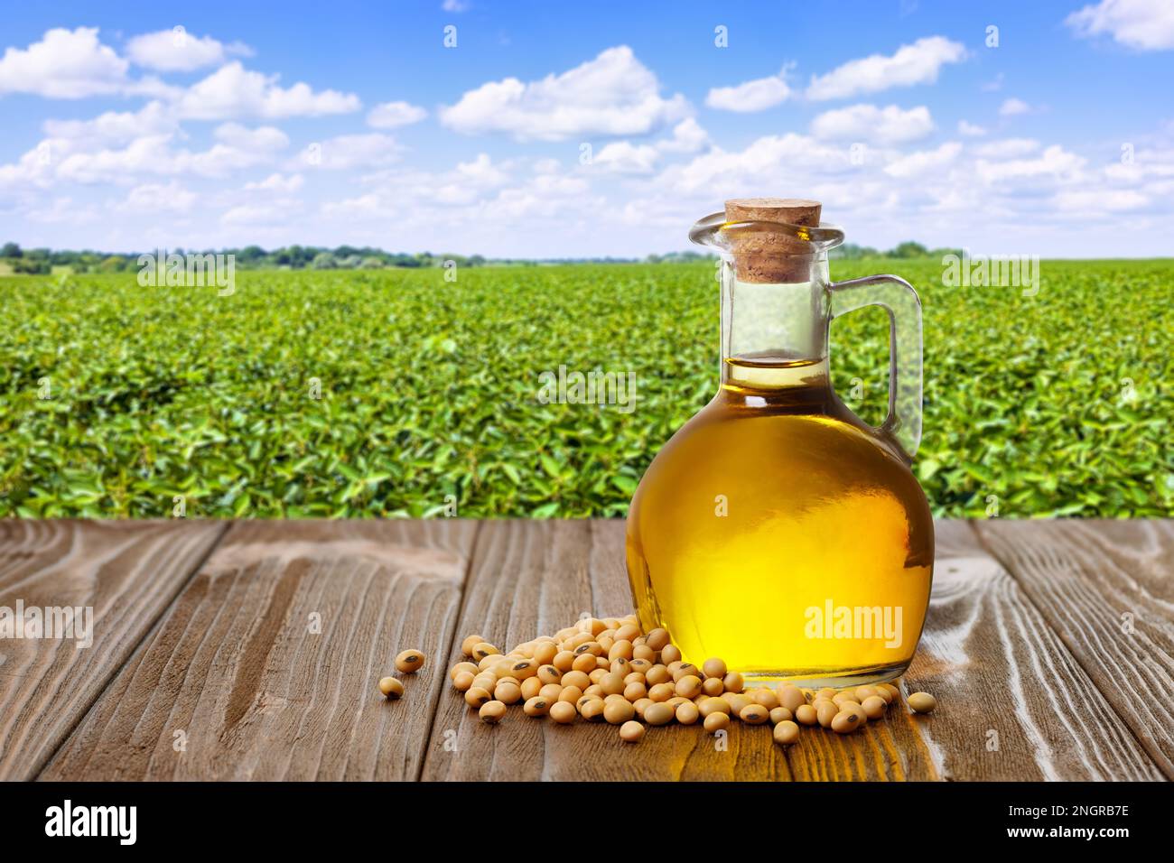 huile de soja en bouteille avec graines de soja sèches sur la table et champ agricole vert sur le fond Banque D'Images