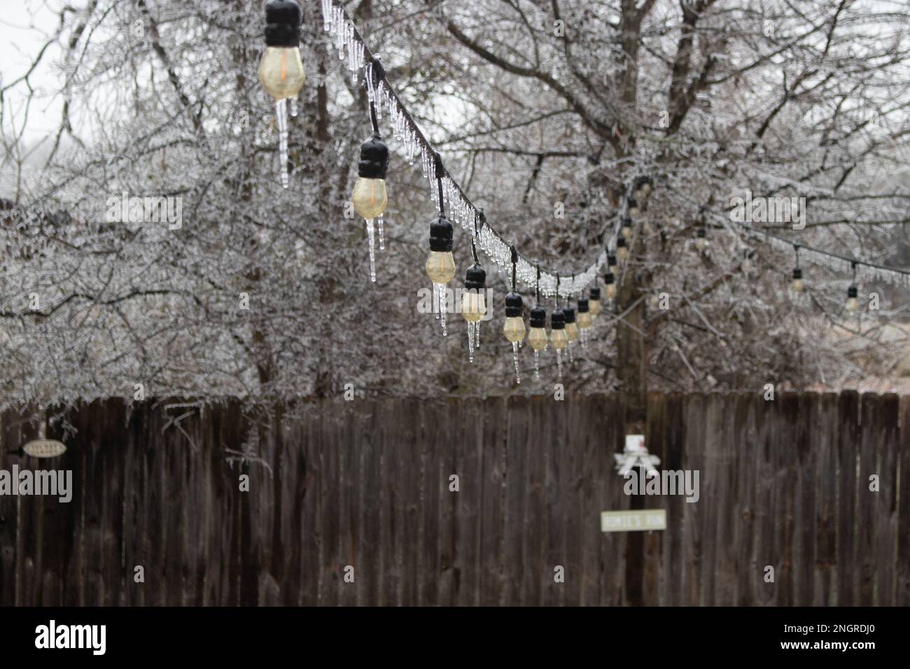 Gros plan des glaçons sur les lumières de la fête du patio avec de la glace recouvrant l'arbre en arrière-plan. Tempête d'hiver à Austin, Texas Banque D'Images