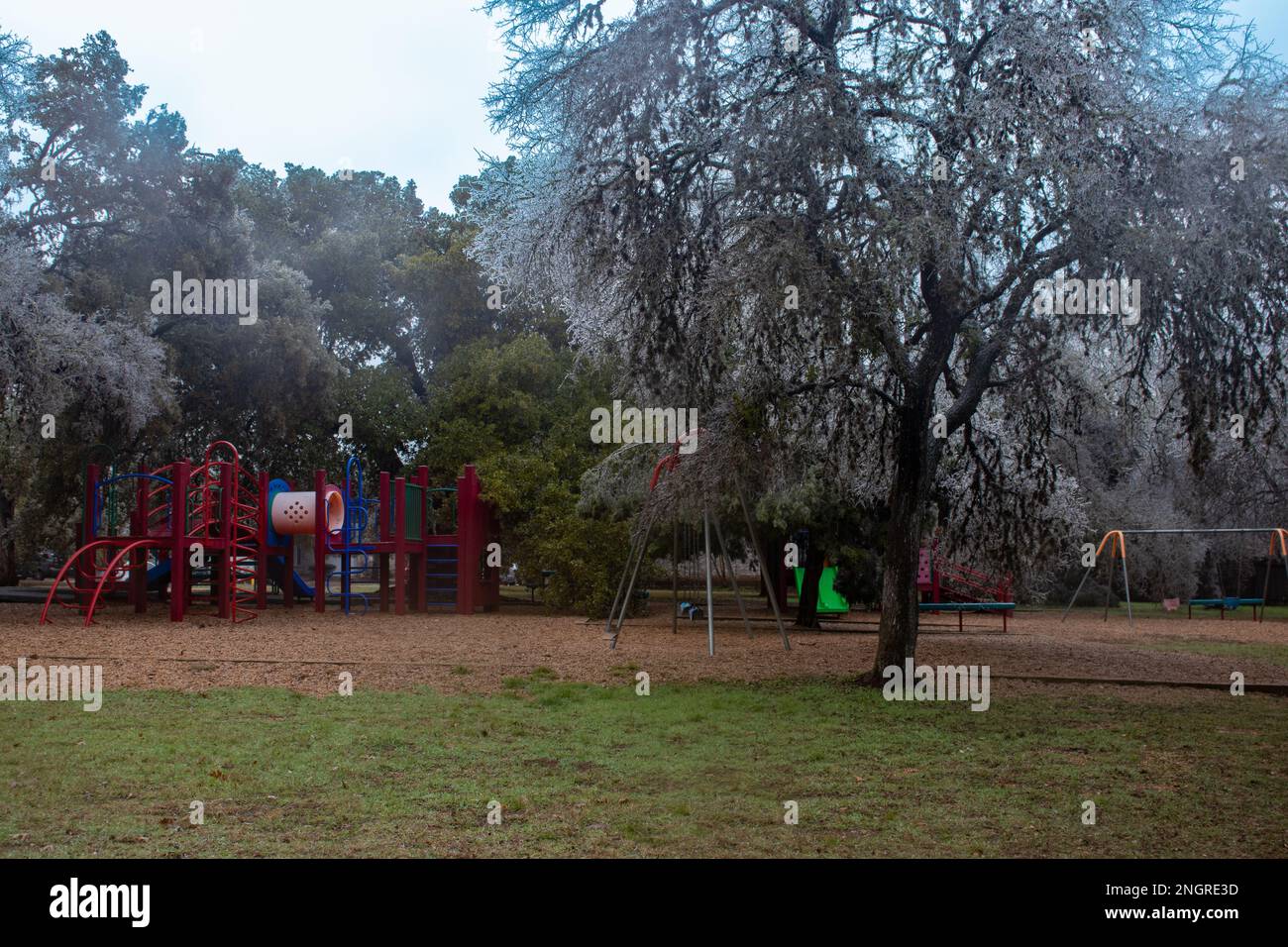 Arbre recouvert de glace glacée et terrain de jeu dans un parc public situé à Austin, Texas Banque D'Images