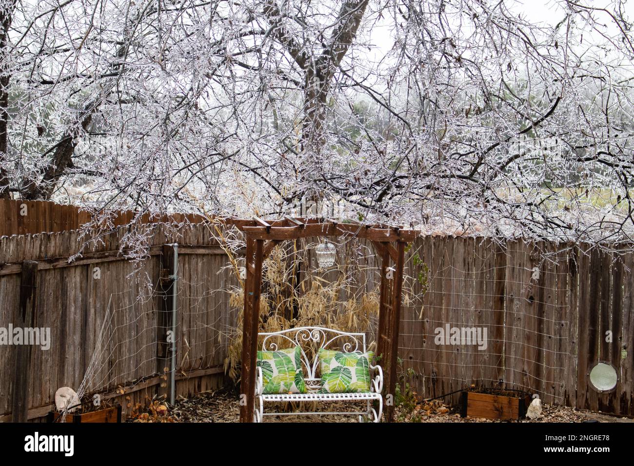 La glace recouvre l'arbre qui est suspendu au-dessus du banc de jardin blanc Banque D'Images