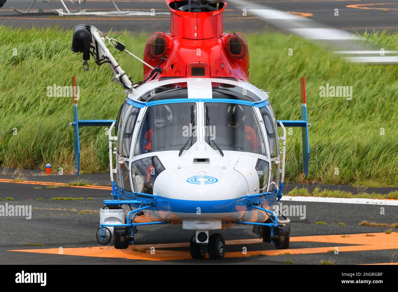 Tokyo, Japon - 11 août 2021 : Service des incendies de la ville de Kawasaki corps aérien Airbus hélicoptères AS365 Dauphin (JA02KF) hélicoptère utilitaire moyen. Banque D'Images