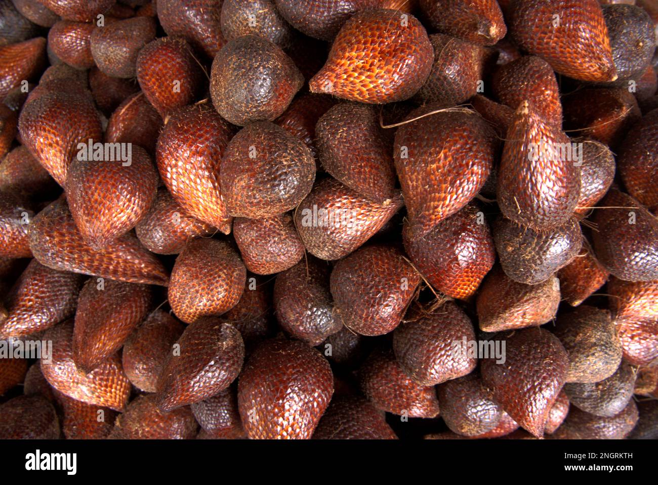 Pile de fruits noirs du Salak brun, vue d'en haut Banque D'Images