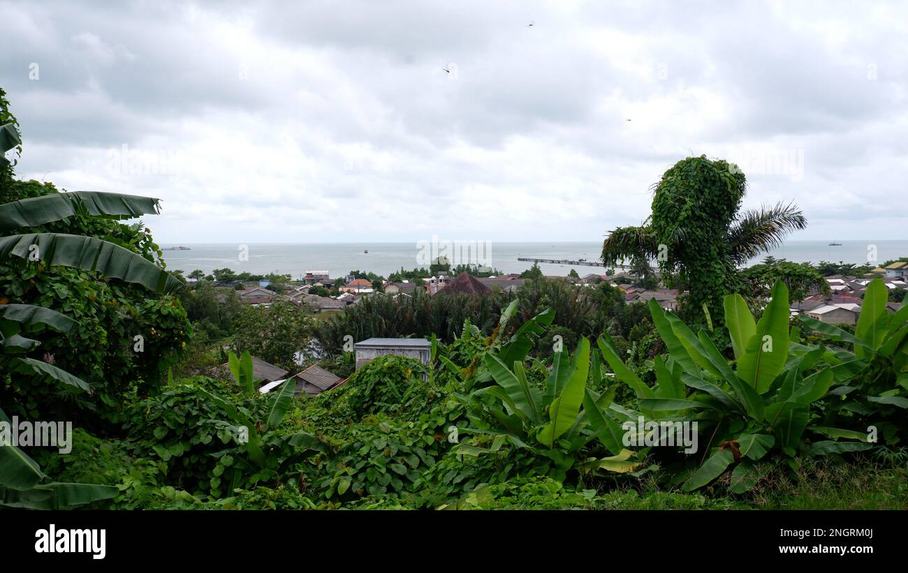 Paysage naturel depuis le sommet de la colline avec les bananas, le logement et l'océan Banque D'Images