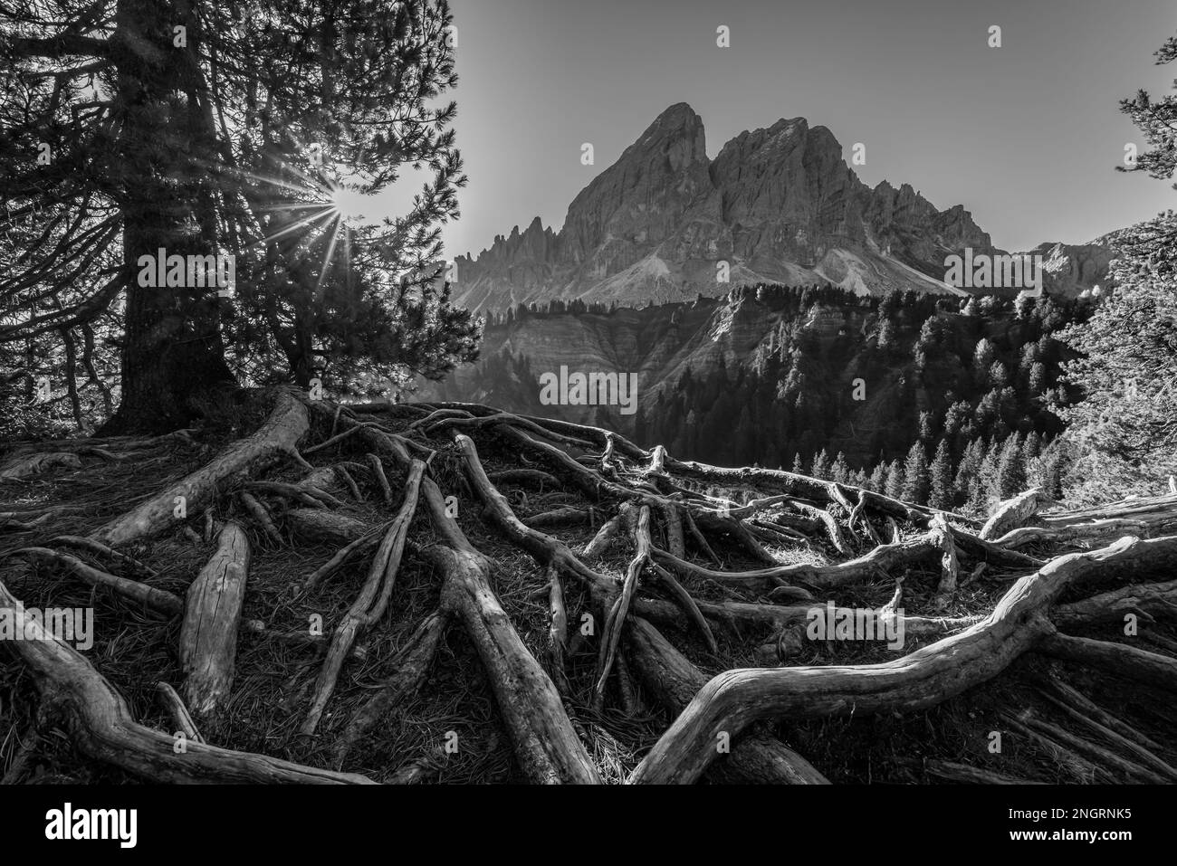 Peitlerkofel, Dolomiti près de San Martin de Tor, Tyrol du Sud, Italie Banque D'Images