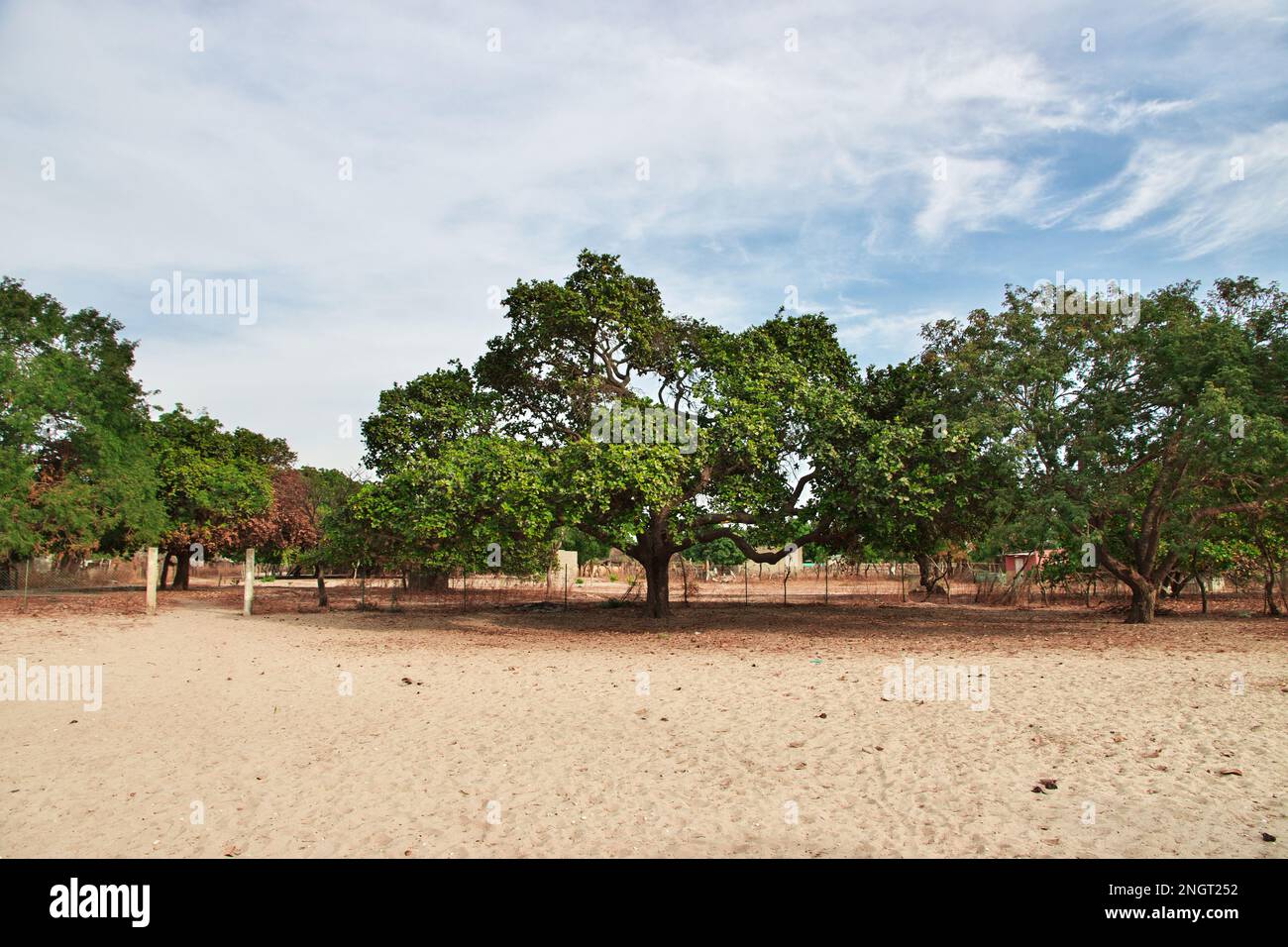 Village du SIPO près de Toubacouta au Sénégal, en Afrique de l'Ouest Banque D'Images