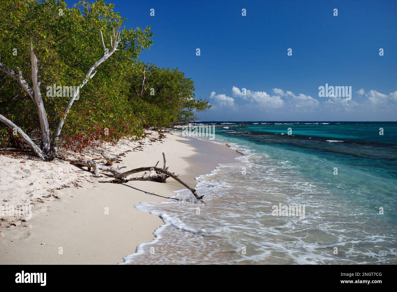 Lime Cay Kingston Jamaïque Little Island Beach Banque D'Images
