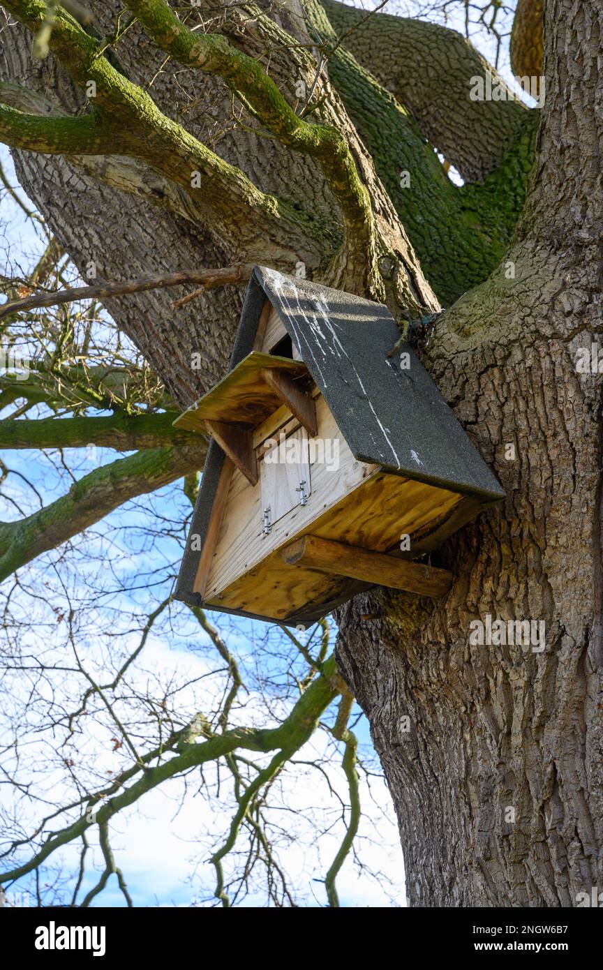 Vue sur une boîte de nid de chouette fixée à un grand arbre dans la campagne. Banque D'Images