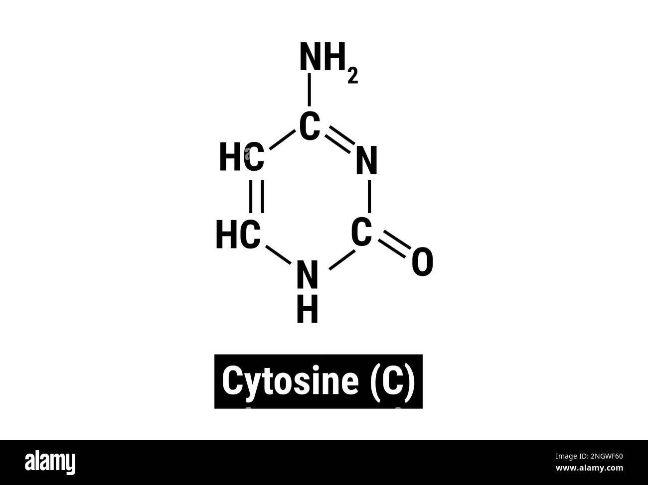 Structure chimique de la cytosine (C) Illustration de Vecteur