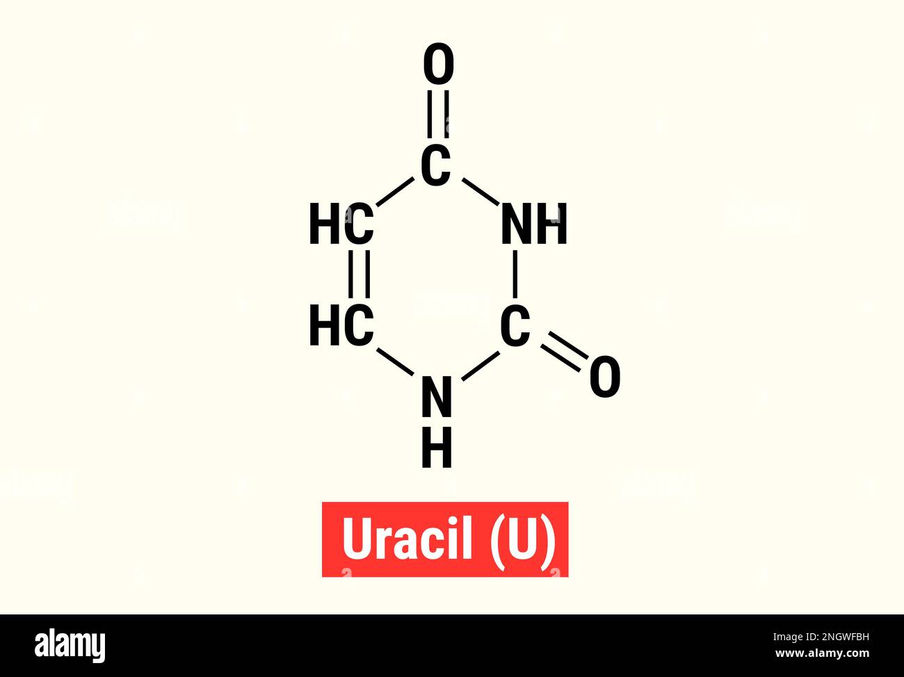Structure chimique de l'uracile (U) Illustration de Vecteur