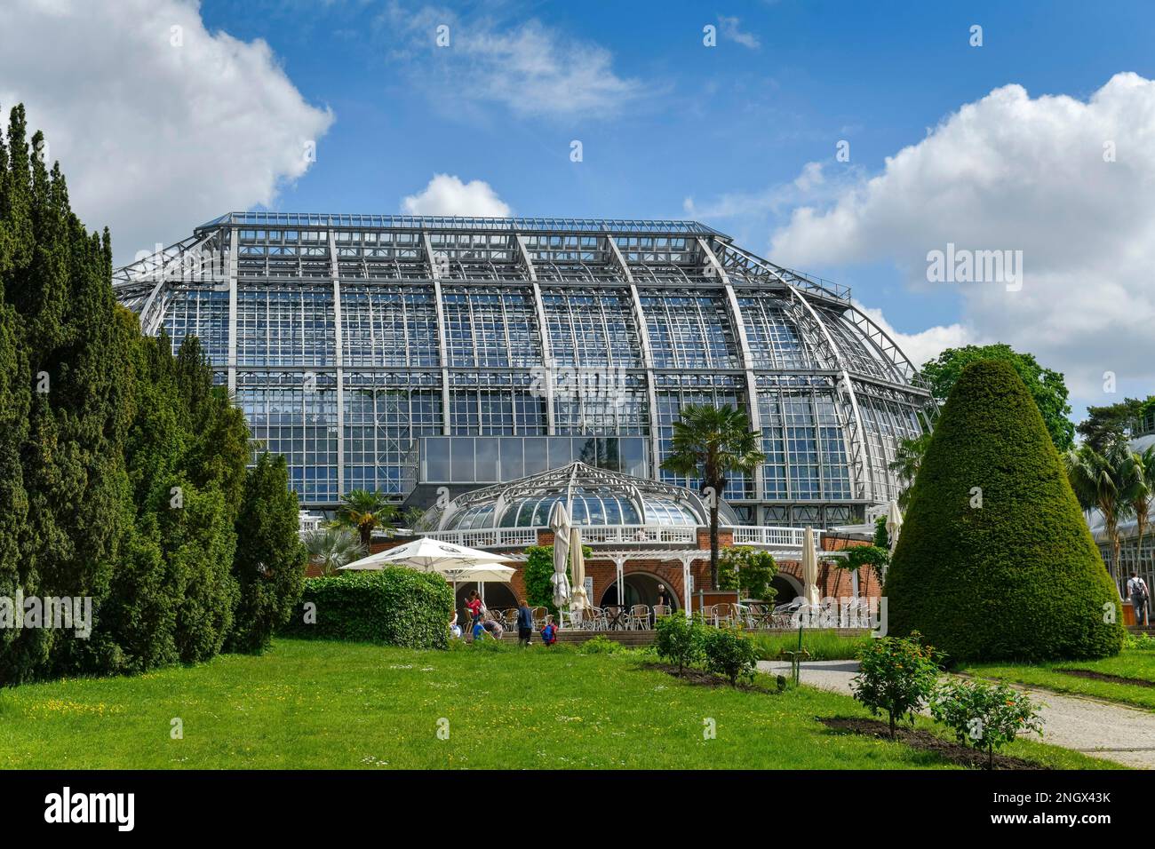 Grande maison tropicale, jardin botanique, Koenigin-Luise, Lichterfelde, Steglitz-Zehlendorf, Berlin, Allemagne, Koenigin-Luise-Strasse Banque D'Images