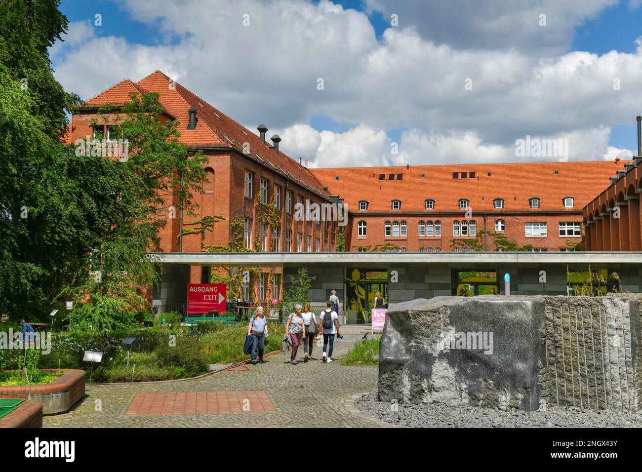 Musée botanique, Koenigin-Luise, Lichterfelde, Steglitz-Zehlendorf, Berlin, Allemagne, Koenigin-Luise-Strasse Banque D'Images