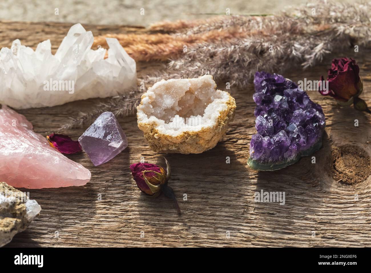 Pierres précieuses multiples pour la pratique spirituelle ésotérique ou sorcellerie sur une table en bois avec des herbes sèches et des fleurs. Collection de pierres et minéraux. Banque D'Images