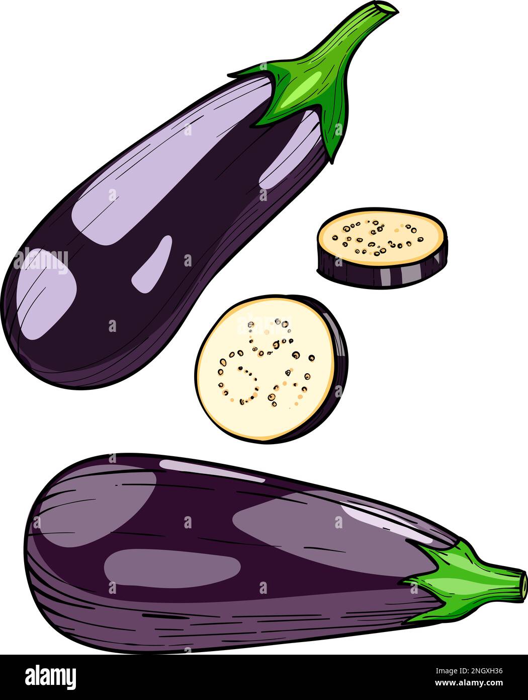 Aubergine, aubergine mûre Vector isolée sur fond blanc Illustration de Vecteur