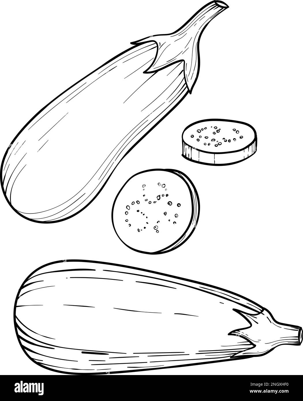 Aubergine, aubergine mûre Vector isolée sur fond blanc Illustration de Vecteur