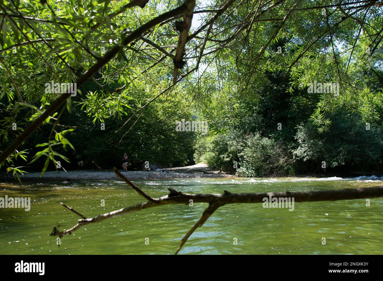 Blühende Natur am Grenzfluss Doubs Banque D'Images